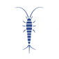 Silverfish Icon