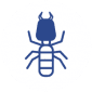 termite