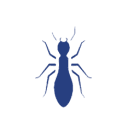 bug Bug Icon