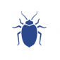 Bed Bug Icon
